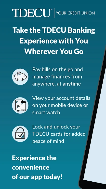 TDECU Digital Banking Screenshot 1