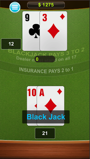 BlackJack 21 Free Card Offline Screenshot 4 