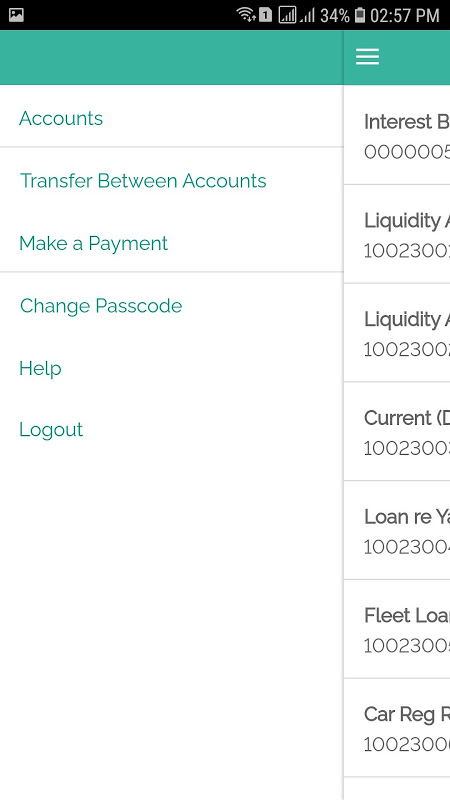 EQI Bank Demo Screenshot 1 