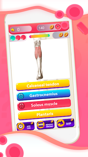 Human Anatomy And Physiology Quiz Screenshot 4 