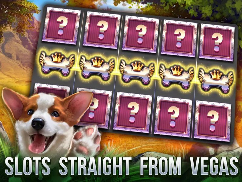 Cats Slot Machines Screenshot 3 