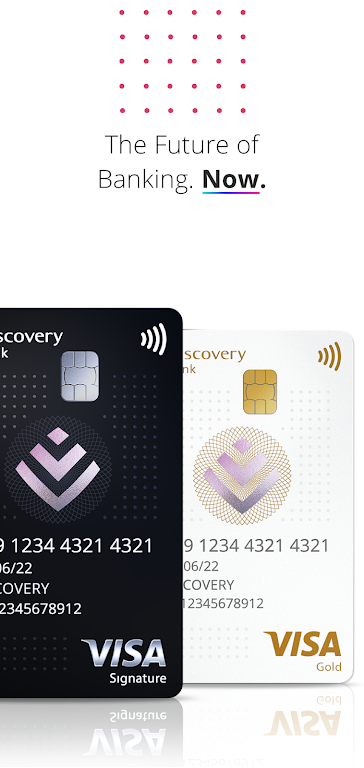 Discovery Bank Screenshot 1