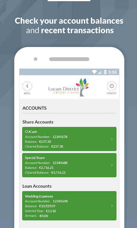 Lucan Credit Union Screenshot 2