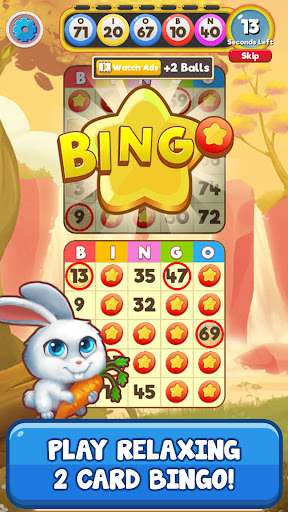 Bingo:  Free the Pets Screenshot 2 