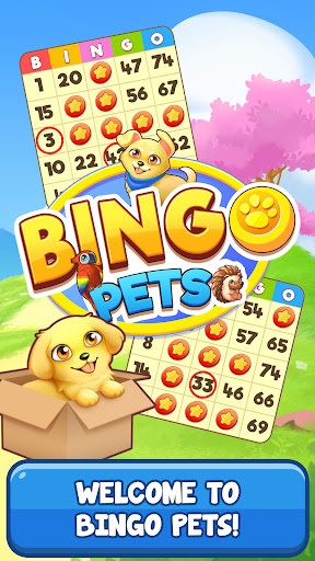 Bingo:  Free the Pets Screenshot 1 