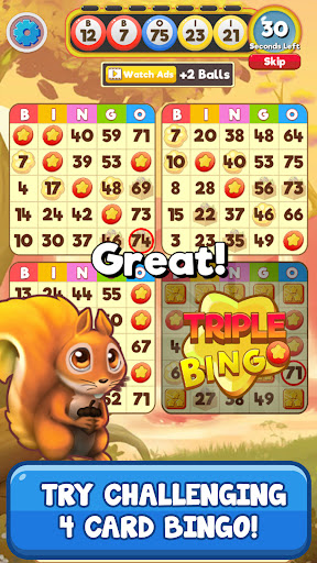 Bingo:  Free the Pets Screenshot 3 