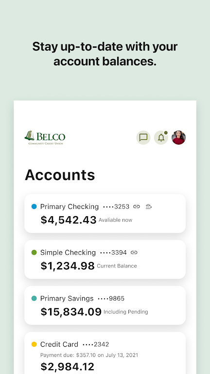 Belco CU Money Manager Screenshot 3