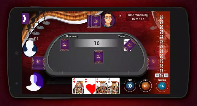 29 Card Screenshot 3 