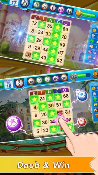 Bingo Hero Offline Bingo Games Screenshot 1