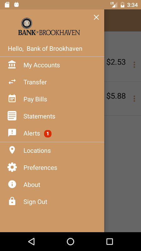 B.O.B. Mobile Banking Screenshot 3