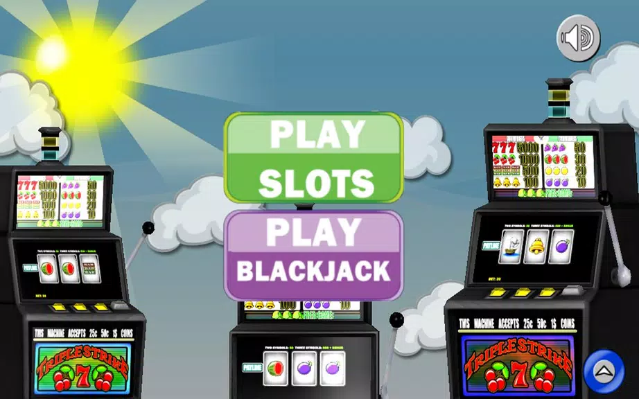 Free Slot Machines - No Internet with Bonus Games Screenshot 1