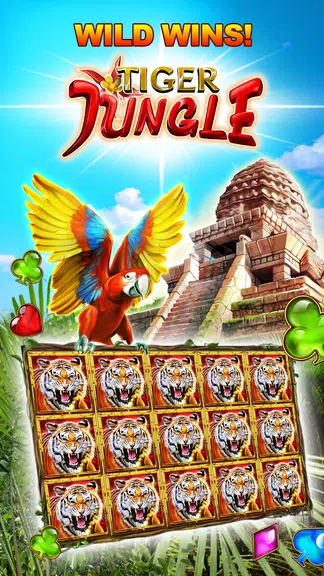 Double Diamond Casino Slots Screenshot 3 