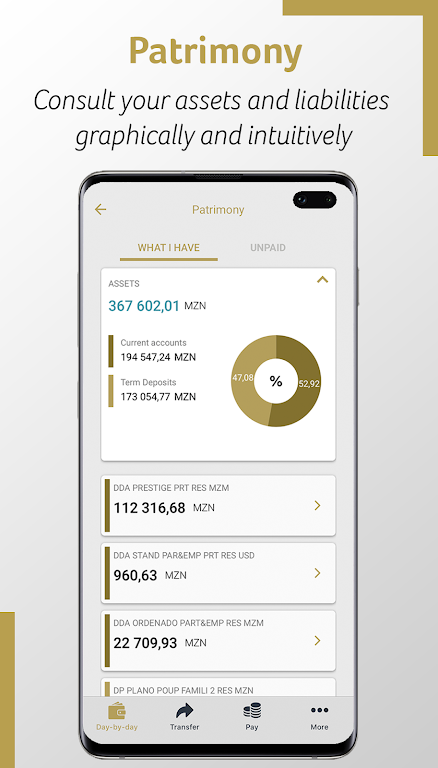 Millennium bim Smart IZI Screenshot 3