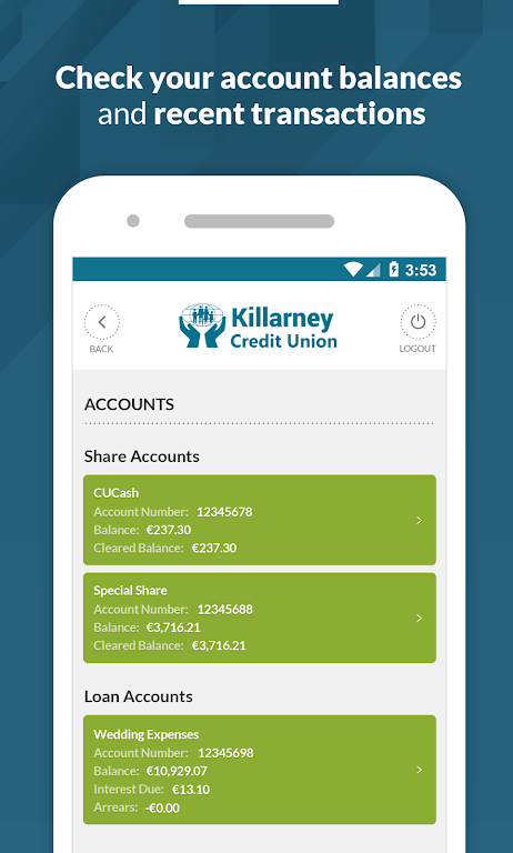 Killarney Credit Union Screenshot 2