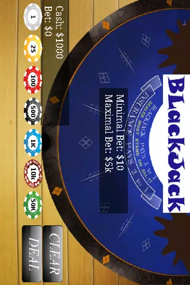 BlackJack 21 Casino Free Screenshot 3