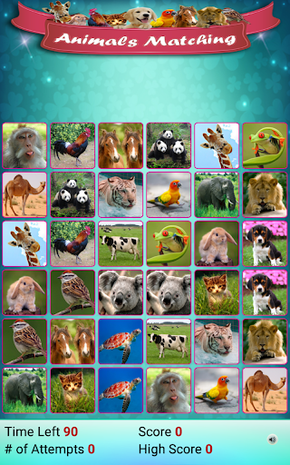 Matching Madness - Animals Screenshot 2