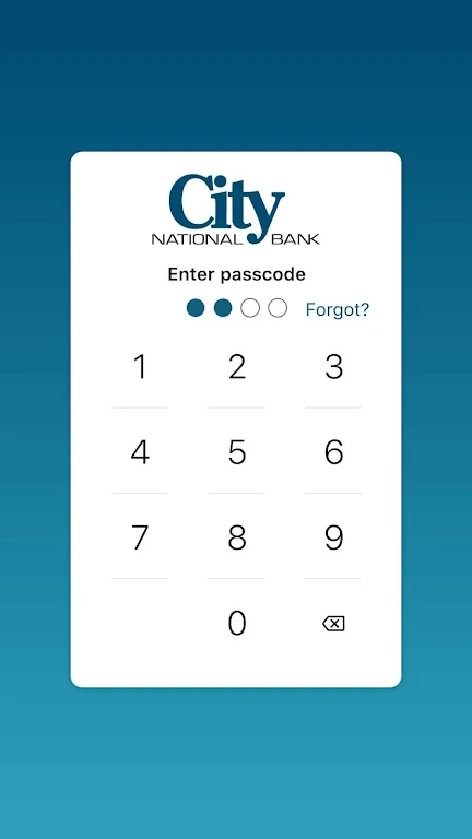 CNB Mobile Bank Screenshot 1 