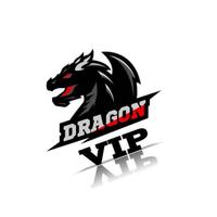 DRAGON VIP VPN APK