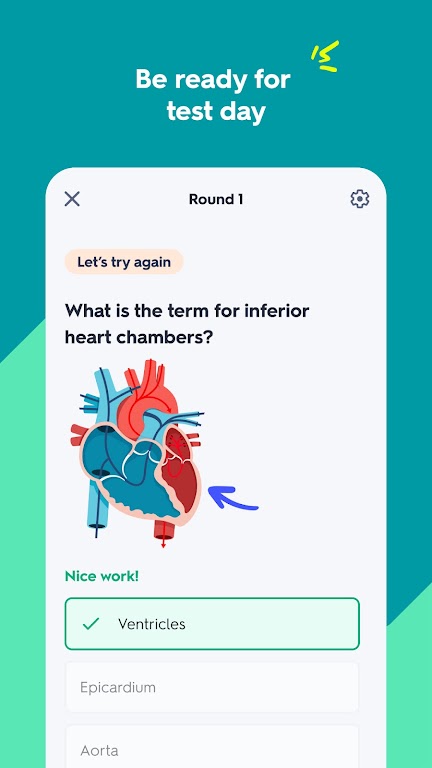 Quizlet: AI-powered Flashcards Mod Screenshot 3