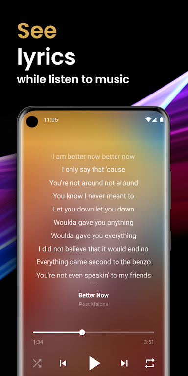 Offline Music Player Mod Screenshot 3 