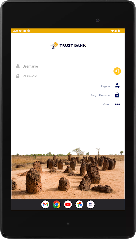 Trust Bank Gambia Screenshot 4