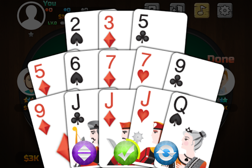 Thirteen Poker Screenshot 2