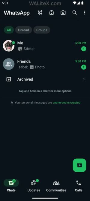 WhatsApp LiteX Mod Screenshot 1 