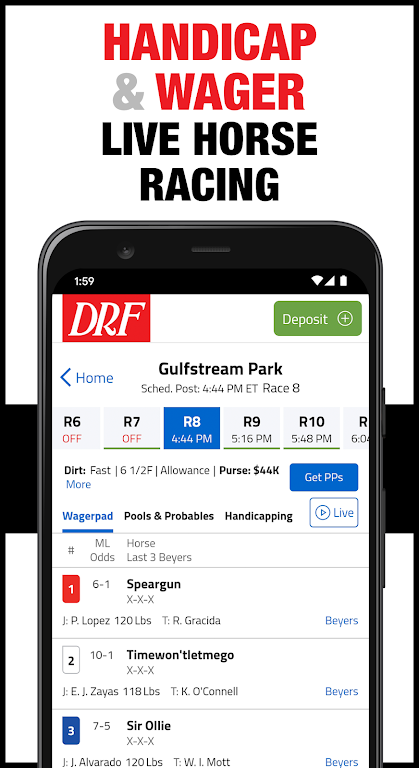 DRF Horse Racing Screenshot 2 