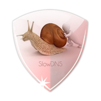 SlowDNS APK