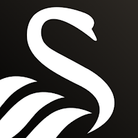 Swansea City