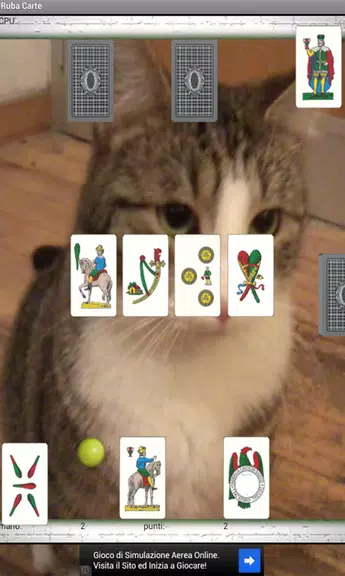 Steal Cards Screenshot 3 