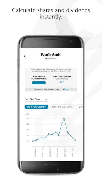 Bank Audi IR Screenshot 4