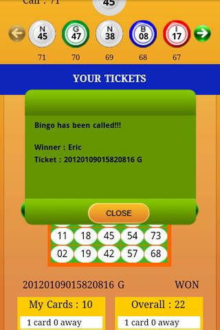 2Go Bingo Screenshot 2 