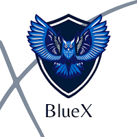 BlueX VPN APK