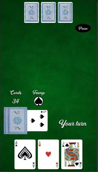 La Briscola - Card Game Screenshot 3 