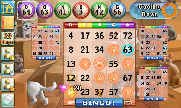 Bingo Cats Screenshot 3 