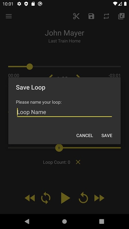 Loop Player Screenshot 3