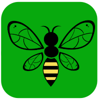 Bee fast- udp/ovpn APK