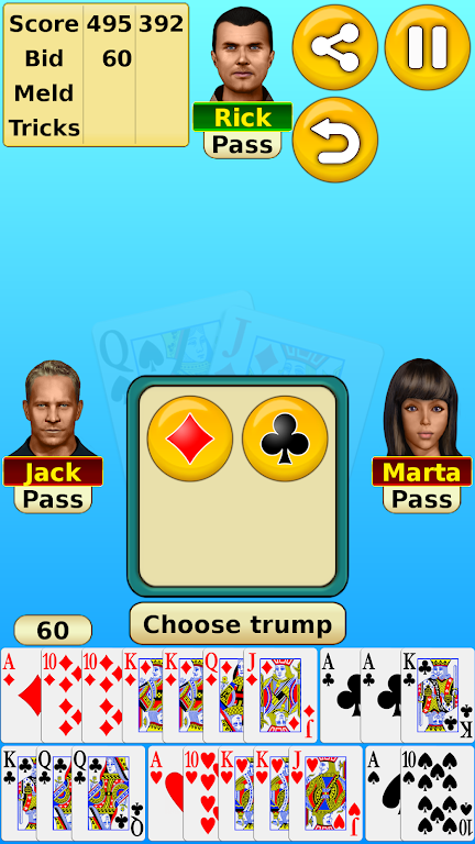 Pinochle Screenshot 3