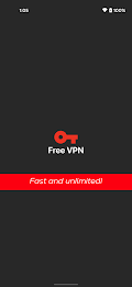 Free VPN Screenshot 1 