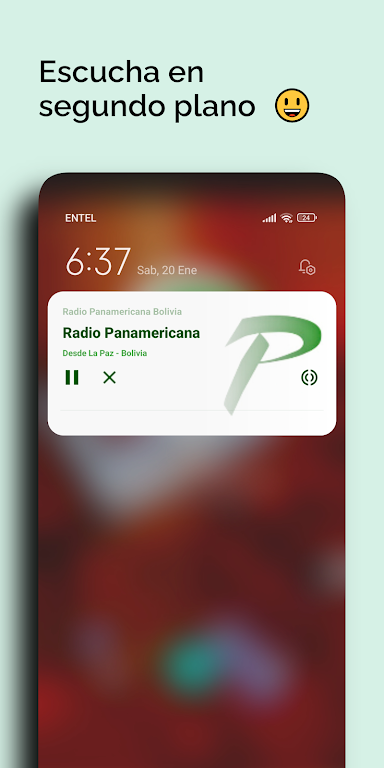 Radio Panamericana Bolivia Screenshot 4