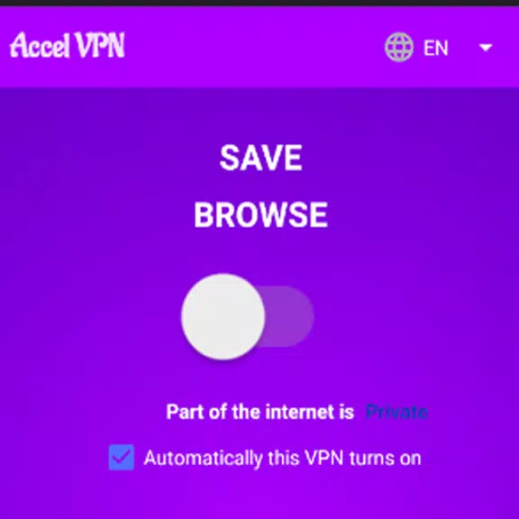 Accel VPN Screenshot 2 