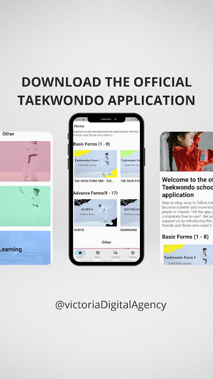 Taekwondo School Screenshot 2