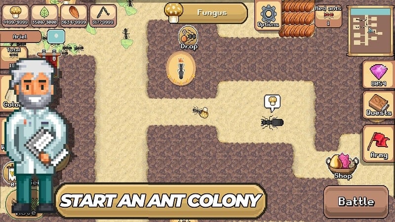 Pocket Ants Screenshot 3 