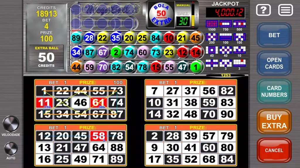 Video Bingo Mega Ball Flex Screenshot 3 