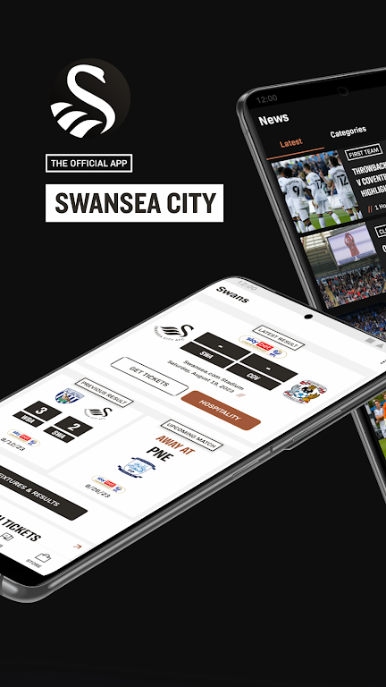 Swansea City Screenshot 1 