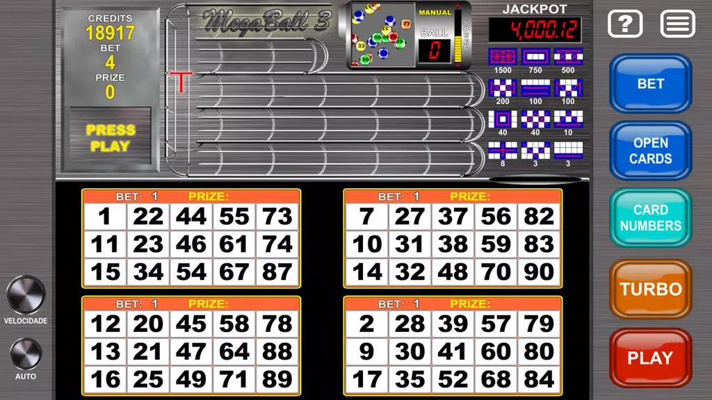 Video Bingo Mega Ball Flex Screenshot 1