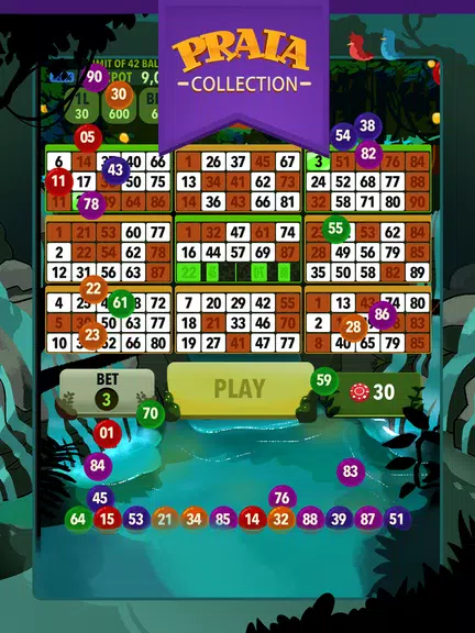 Video Bingo Ubatuba Screenshot 4