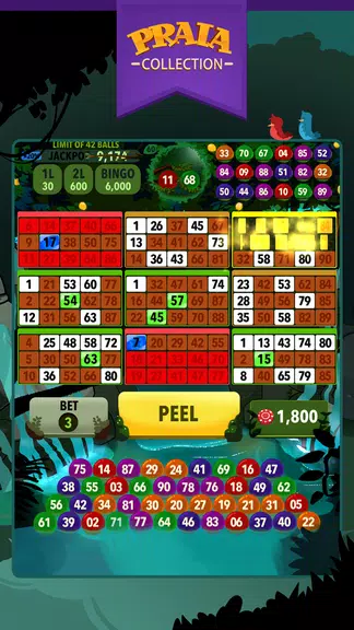 Video Bingo Ubatuba Screenshot 2