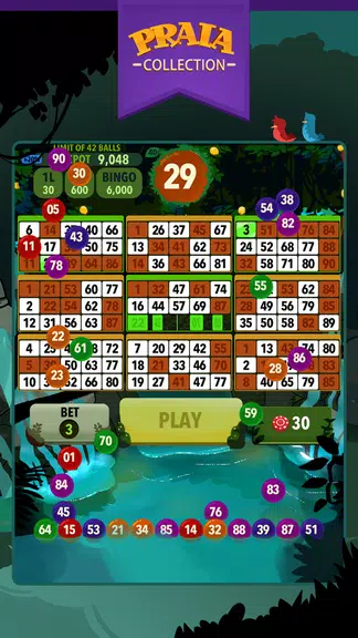 Video Bingo Ubatuba Screenshot 1